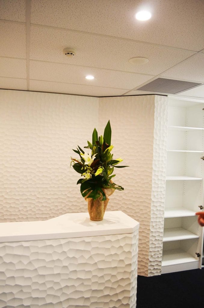 Craters - Finch Project