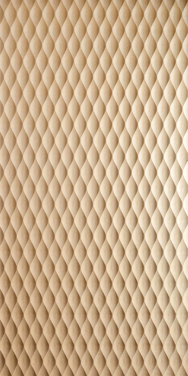 Scallops Large
